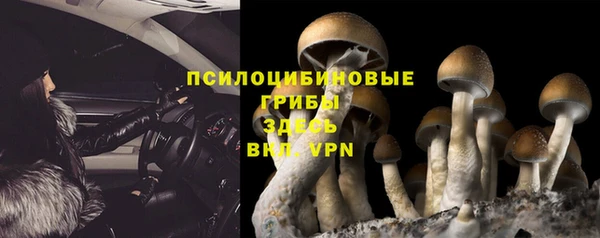 твердый Вяземский