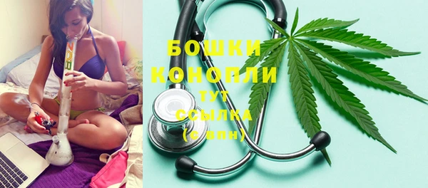 твердый Вяземский