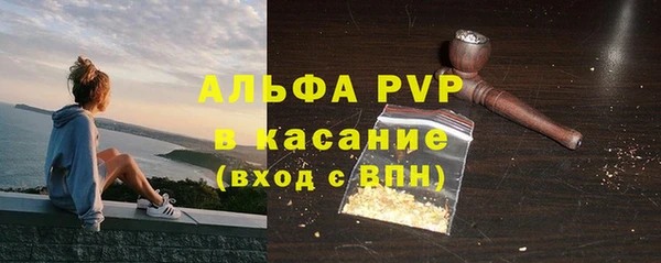 твердый Вяземский