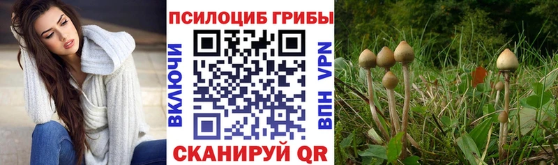 наркошоп  Зеленогорск  Галлюциногенные грибы прущие грибы 