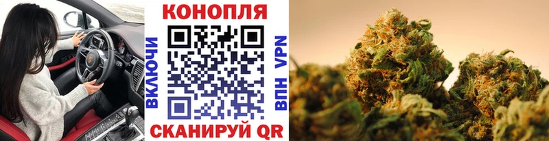 Канабис гибрид Зеленогорск